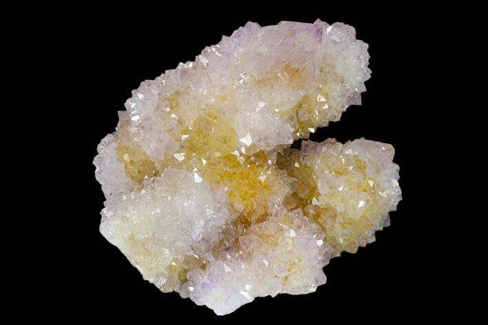 Cactus Quartz (Amethyst) Crystal Cluster - South Africa #137780